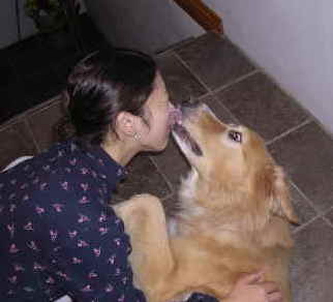 犬も出迎えてくれます