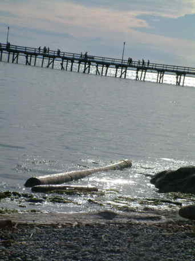 ビーチもあります