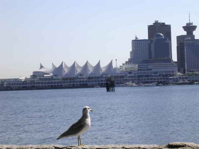 カナダプレイス