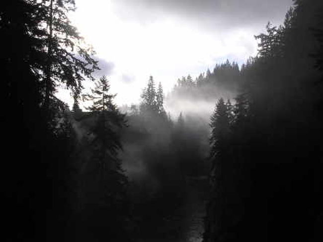 キャピラノサスペンションブリッヂ<br />