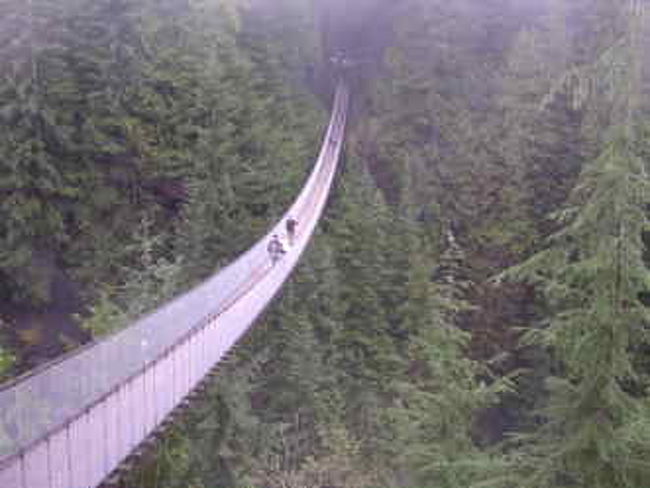 長く見えるがそうでもなかった