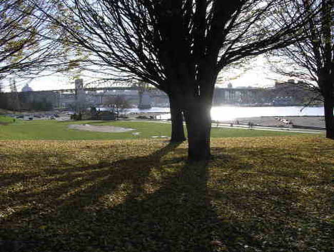 住んでいたアパートから徒歩すぐのところ、よくお散歩しました