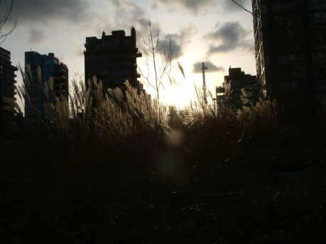 職場の近く<br />天気が悪くてもこんな瞬間がある