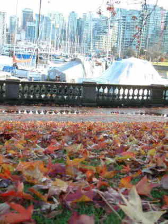 スタンレーパーク