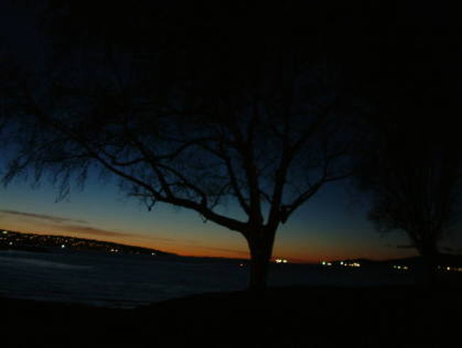 イングリッシュベイ<br />トワイライト