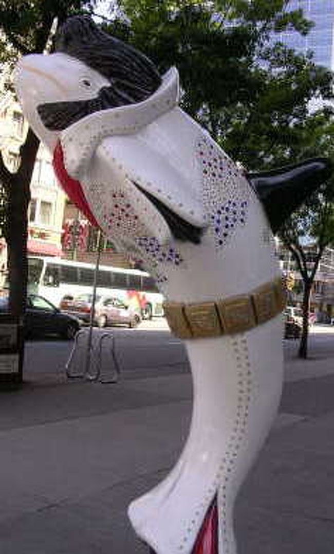 色んないるかがいたるところにありました