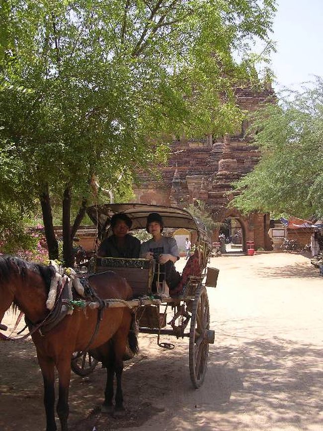 バガンは馬車で観光もできる