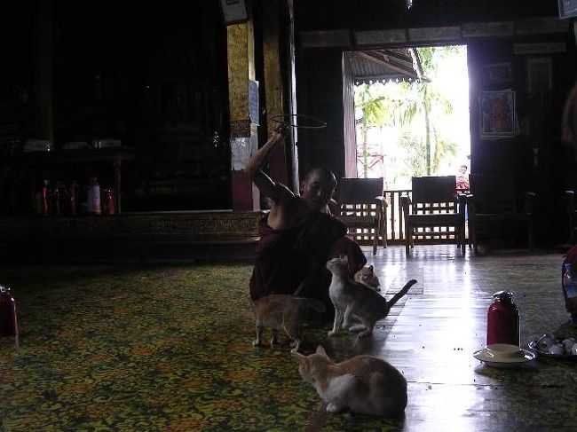 輪くぐりをする猫がいるパゴダ