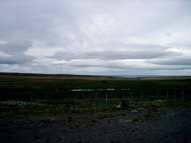 ドライブインの反対側はこんな感じ。