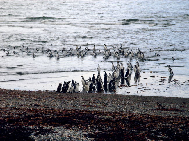 こういうのを見るとロッテのグリーンガムのCFを思い出す年代です。