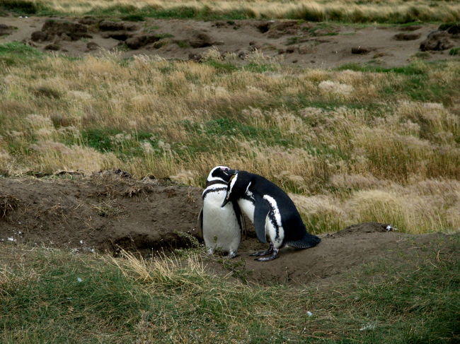ラブラブです。<br />写真を撮りたいポイントはどこの国の人も同じなようで、こいつらは人気でした。