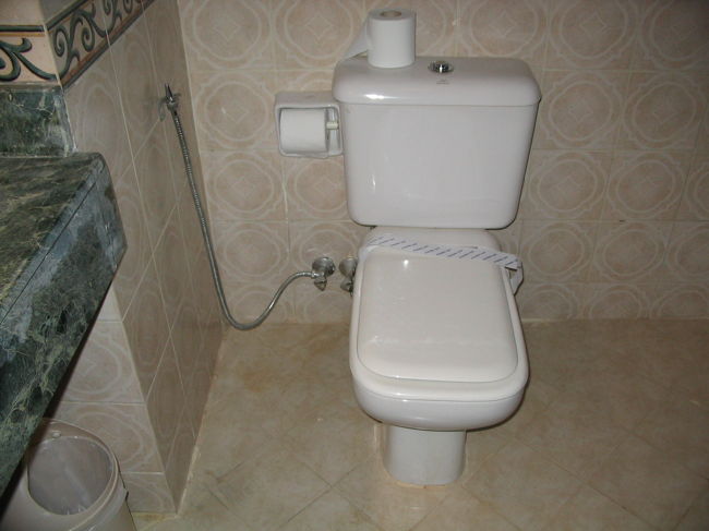 ホテルにてしばしの休養。まだトイレ使ってなかったのね。帯つき。