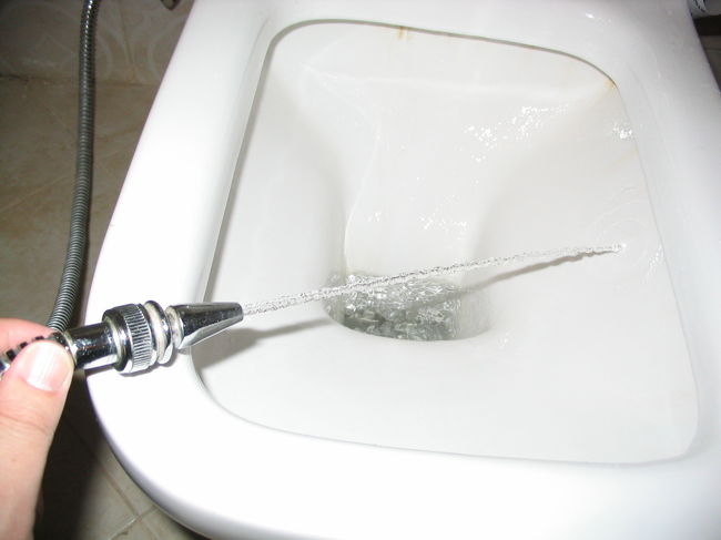 やっぱりついてる。でも先端が違う