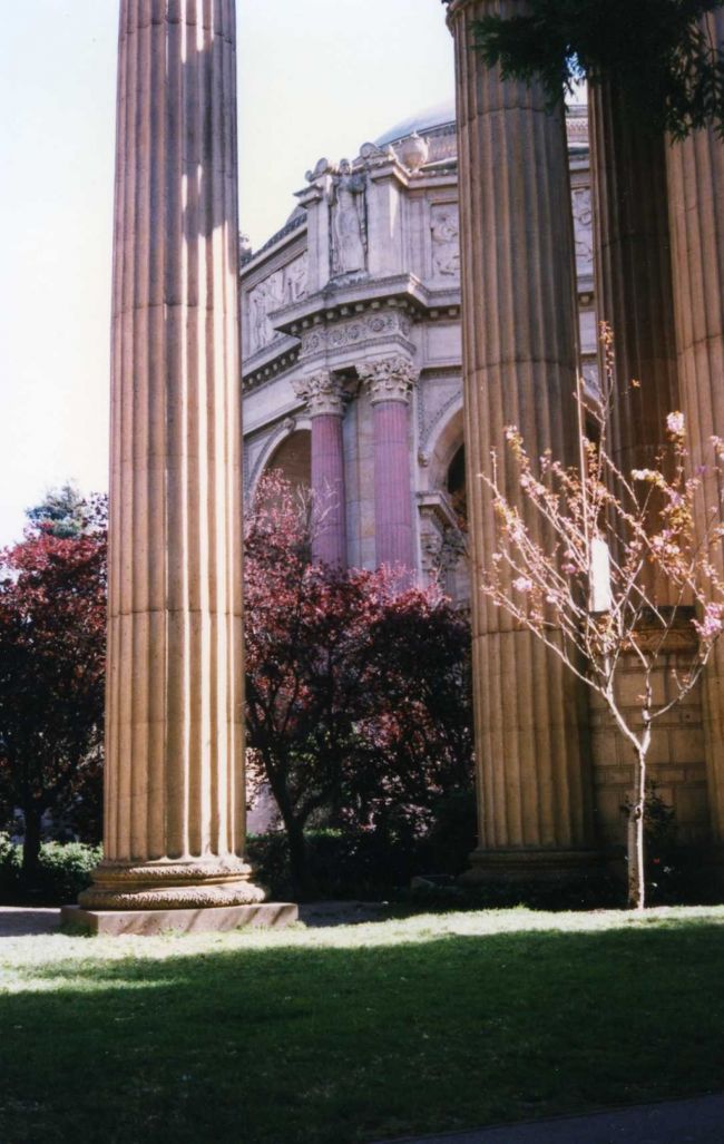 昔は入れたファーレスオブパインアーツ！！<br />