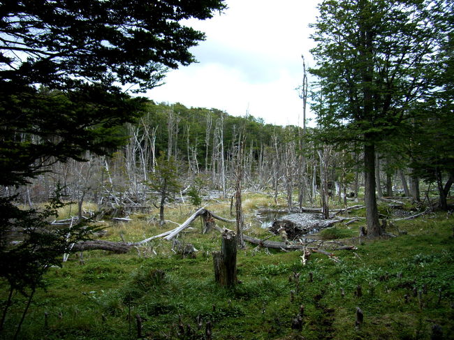 海まではこんな風景の中を歩きます。道はドロドロ。スパッツ持って来て良かったー。