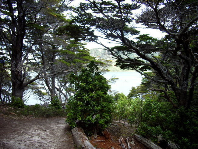 上り下りもあるけど大体は平坦です。