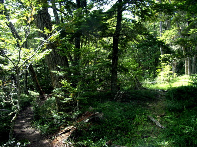ただ、国立公園の中で泊まろうとするとパイネの非じゃないくらい高いみたいです。ルームメイトは貸テントの値段の高さに諦めてました。