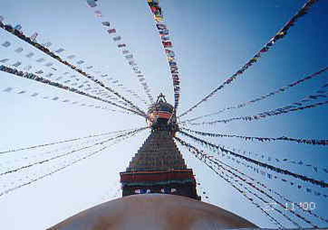 ボダナート<br />ナイスデザイン！