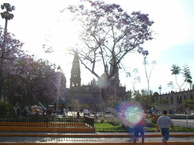 グアダラハラ<br />この街で大道芸デビューしました。ギャラくれギャラ