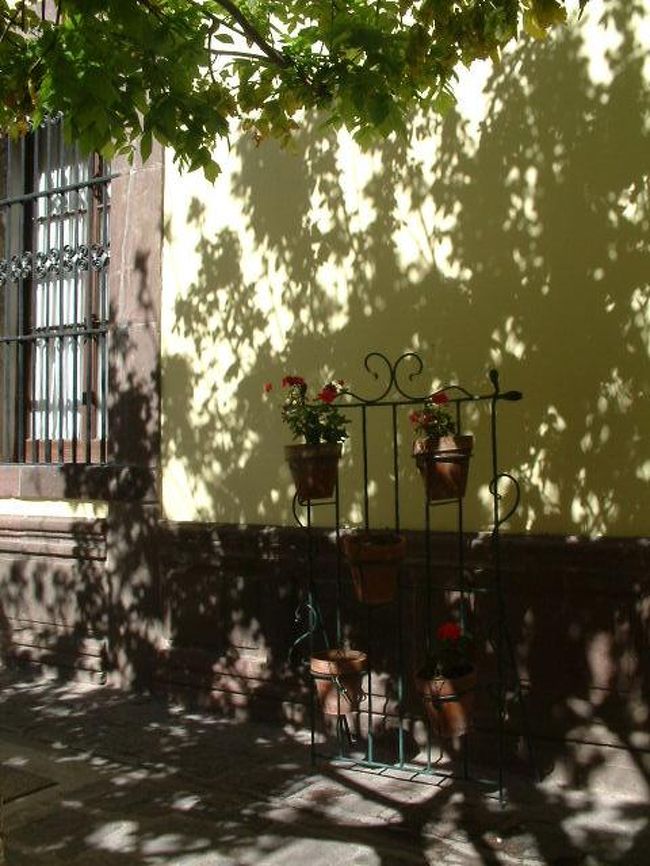 メキシコの中で一番好きな街です