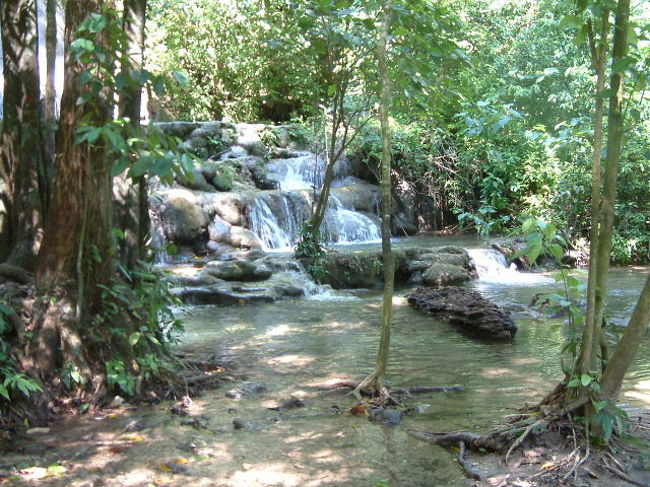 パレンケ遺跡からの散歩道