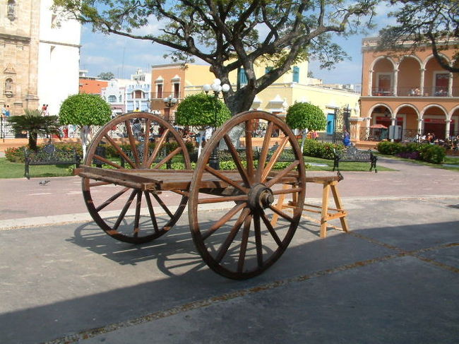 この公園でハトにえさを撒いていたおばさんがいきなりその中の一羽を捕まえ紙袋に入れて持って帰った・・・・何用？