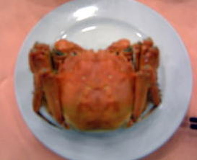 上海蟹<br />他の蟹と違って待ったりとした味