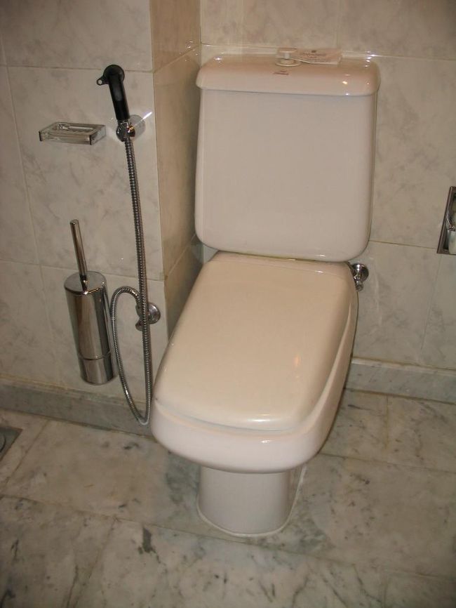 恒例のホテルの部屋の水回り写真をば。<br />アメリカのようなワンピースではないけれど、日本にないデザインの便器。便座も専用の形。左にはちゃんとご当地のあれがついています。