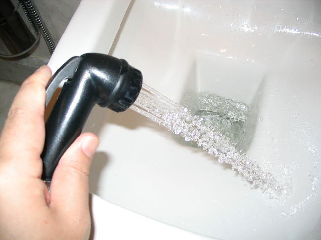 あれです。便器はヨーロッパスタイルの洗落とし式。