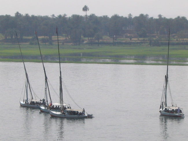 部屋から向こう岸に緑となつめやしとナイルにうかぶ舟。