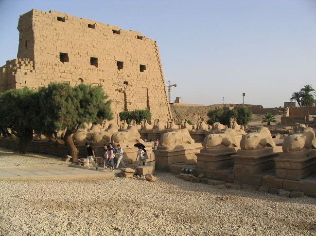 参道の脇にそれるとスフィンクスのおしりが。