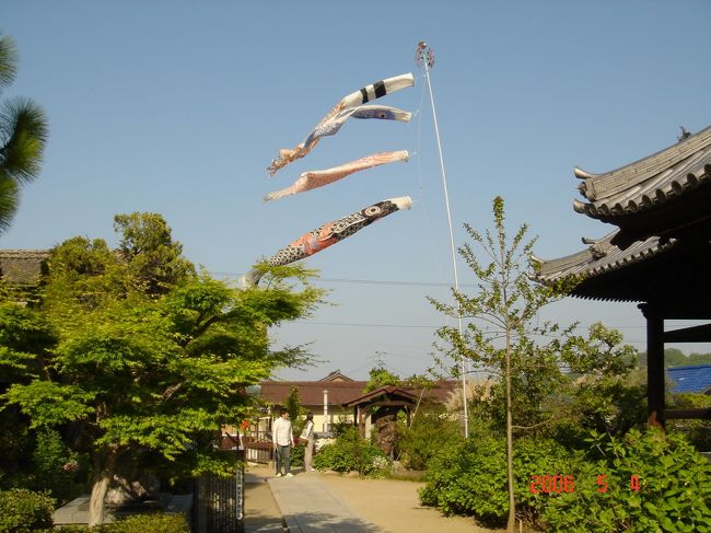 都会ではあまり見なくなった鯉のぼりですが、尾道では大きくりっぱな鯉のぼりをたくさん見ました。