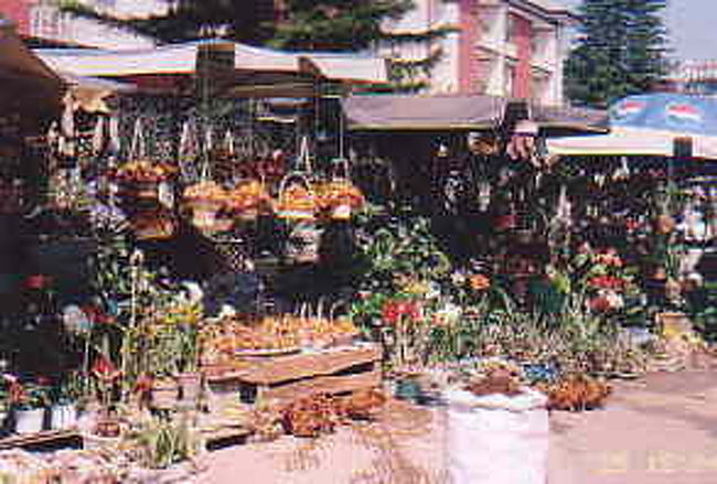 ダラットの花屋さん