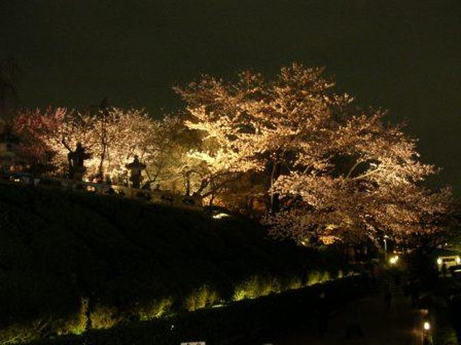清水寺のライトアップ