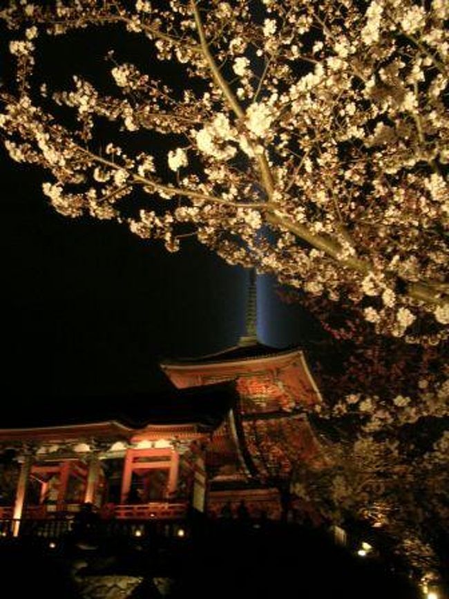 清水寺から青い光が放たれている