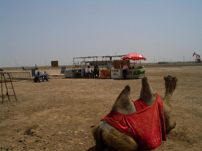 石油掘ってるのを見てたら飽きんです（らくだ談）。 