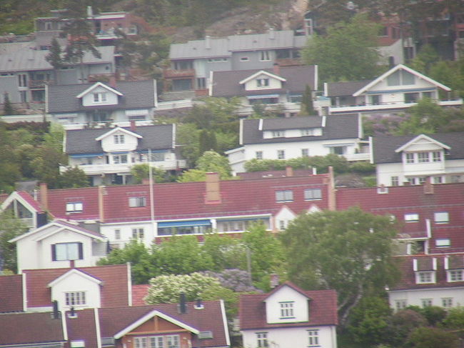 オスロからフィヨールドへ向かう途中の街の風景<br /><br />季節は初夏、各種とりどりの花が咲き乱れてた。