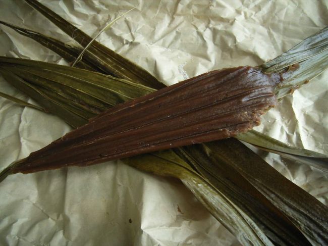 与那国空港で買ったクバ餅。<br />米粉（餅粉？）と黒糖でできた餅菓子。<br />クバ（檳榔：ビロウ＝椰子科の常緑高木）<br />の葉に包まれ、素朴で懐かしい味だった。