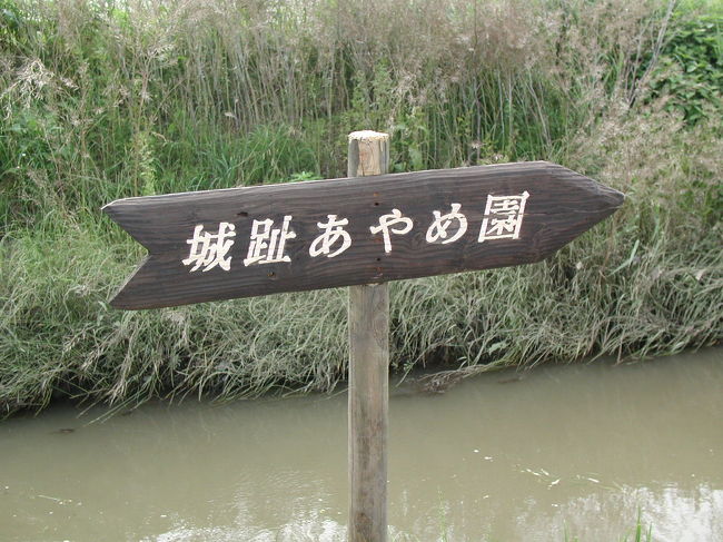 菖蒲城址あやめ園の花しょうぶ 埼玉県の旅行記 ブログ By いっちゃんさん フォートラベル