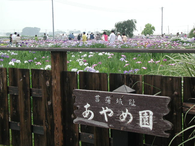 菖蒲城址あやめ園の花しょうぶ 埼玉県の旅行記 ブログ By いっちゃんさん フォートラベル