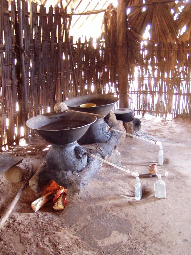 　途中で椰子の木が整然と植えられている場所に立ち寄った。ここが、出発前にウィンウィンが言っていたパームツリーガーデンか。つまり椰子の木園ということか。観光コースになっているからか、ドライバーはごく平然と車を停めた。<br />　道路沿いに掘っ立て小屋があり、中ではジュースや蒸留酒、お菓子を作っていた。写真は蒸留酒を作っているところ。味見をさせてもらったが、かなりきつい。記念にすこし弱い方を一瓶買った。この後、若い男が椰子の木に登って実を取る実演をしてくれた。別にどってことないのだが、とりあえず関心のあるふりをする。好奇心の強い旅行者を演じるのも楽じゃない。