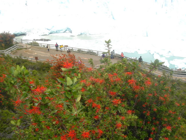 上から見た展望台