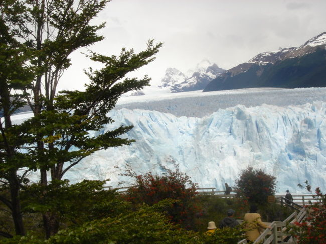 板張りの遊歩道を歩く
