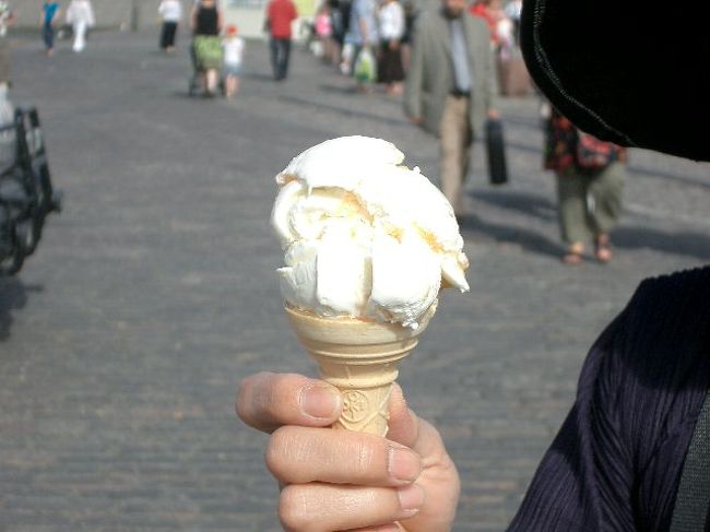 見ているばかりでお腹がすいたので、アイスクリームをいただきました。