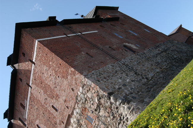 ハメ城。芝生にはタンポポがいっぱい<br />