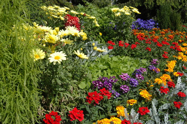 トゥルクへ向う途中のドライブインにて<br />