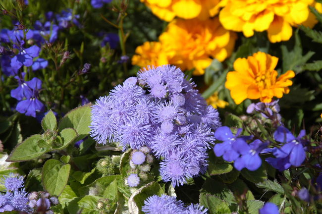 トゥルクへ向う途中のドライブインにて<br />