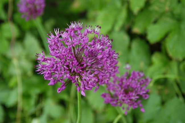 トゥルクへ向う途中のドライブインにて<br />