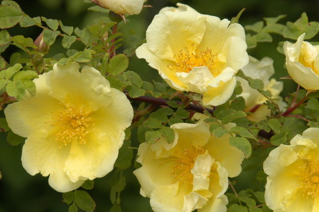 フロム駅にて<br />