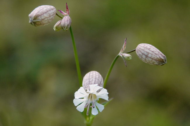 ラルダールにて<br />